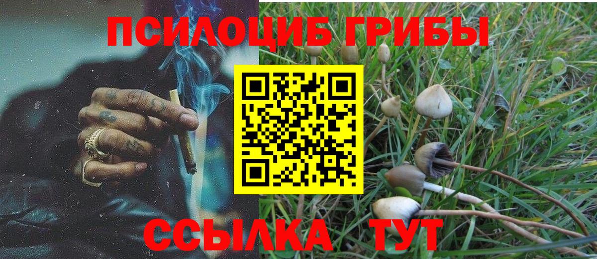 Калуга  Галлюциногенные грибы прущие грибы  купить закладку  Вход с VPN  Псилоцибиновые грибы Magic Shrooms 